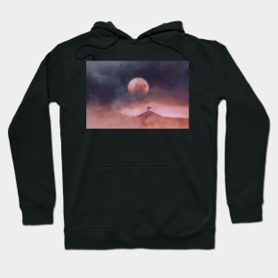 Dune landscape Hoodie